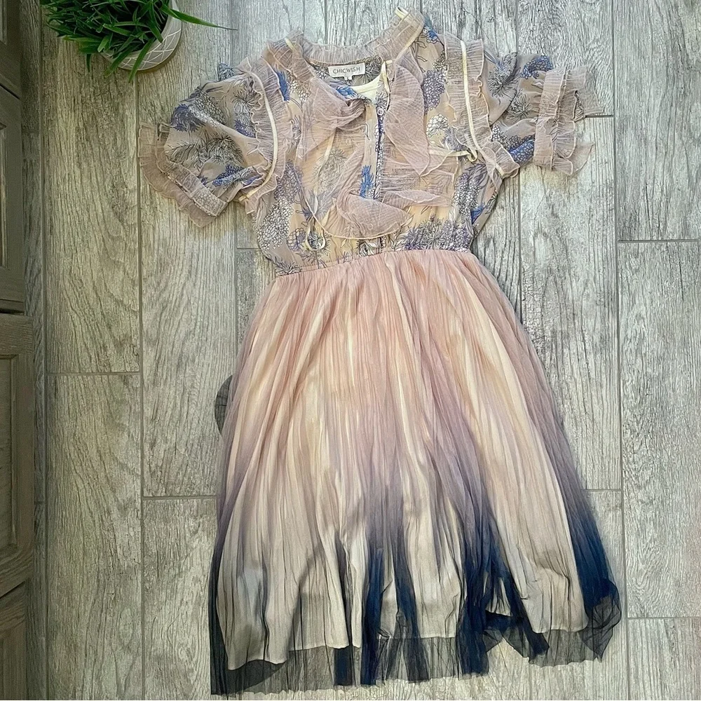 Chicwish We Know it All Gradient Pleated Mesh Tulle Dress - Picture 8 of 10